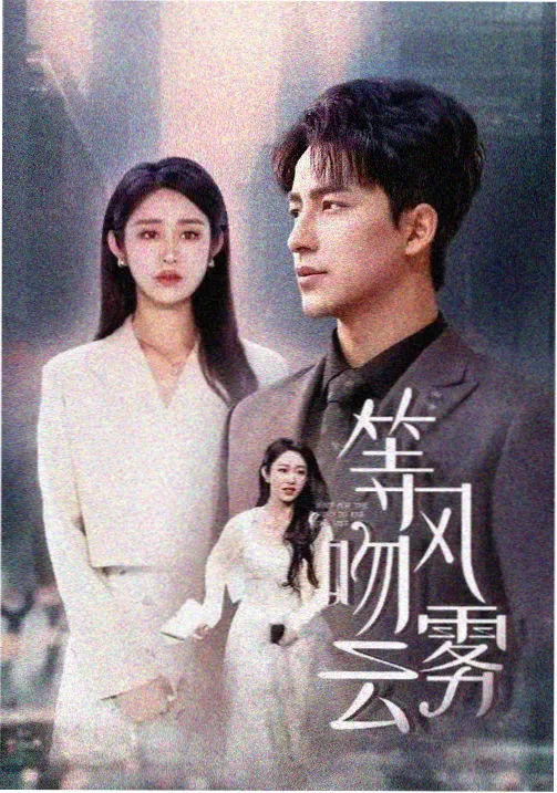 电视剧全集免费观看高清《雾港迷踪》